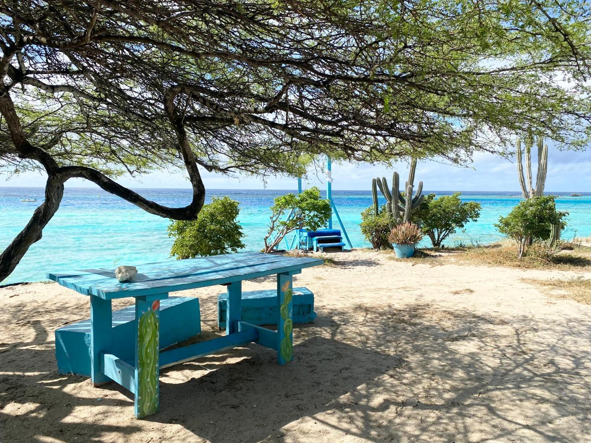 팜비치 Casa Azure Aruba 빌라 외부 사진